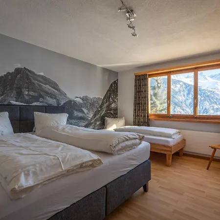 Viola Am Waldrand Von Apartment