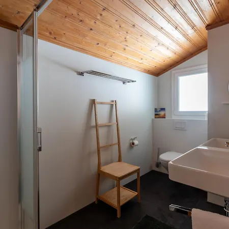 Viola Am Waldrand Von Apartmán Disentis