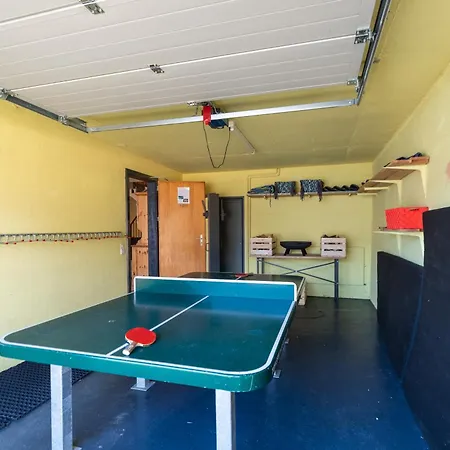 Viola Am Waldrand Von Apartmán Disentis